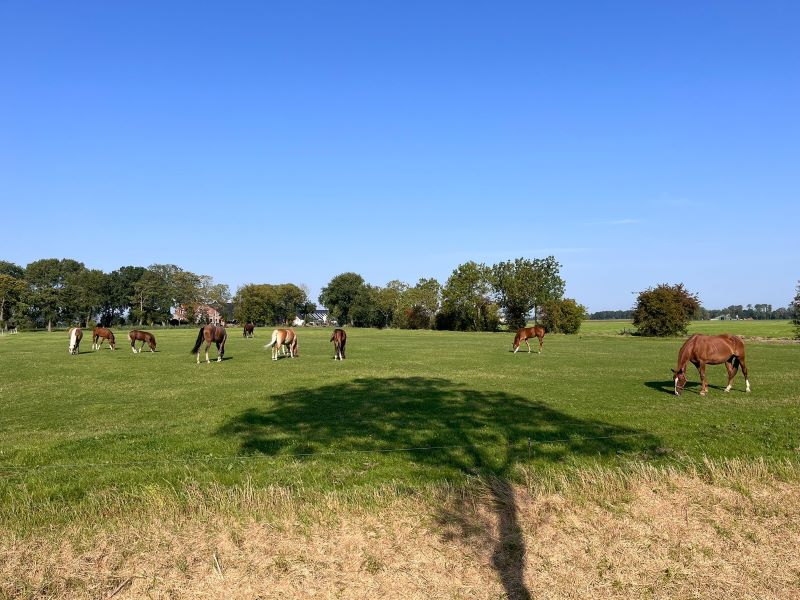 20240907 Zoutkamp5